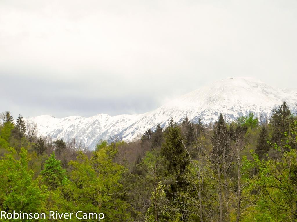 Robinson River Camp ラドヴリツァ エクステリア 写真